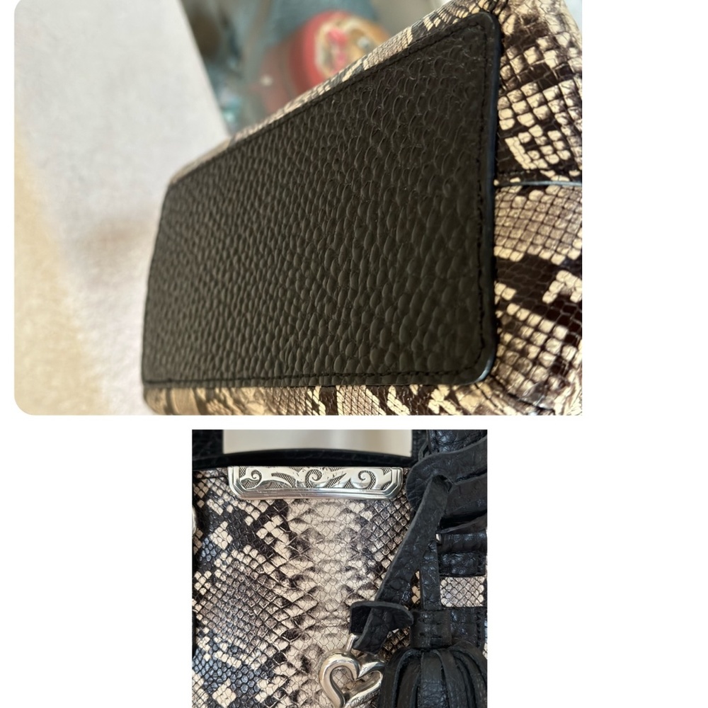 Brighton Ronan Python Set - image 4